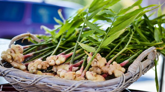 Ramuan Jahe Obat Herbal