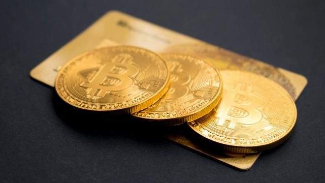 Bitcoin Seperti Kecoa