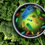 Food Borne Disease