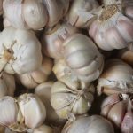 Manfaat Makan Bawang Putih