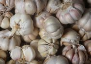 Manfaat Makan Bawang Putih