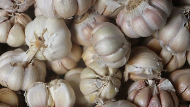 Manfaat Makan Bawang Putih