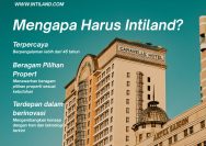 Intiland
