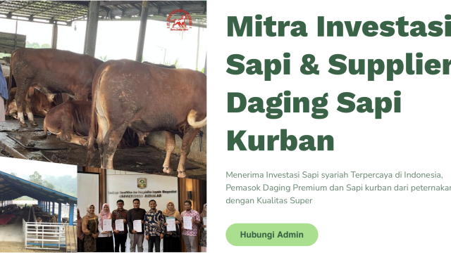 Peternak Sapi