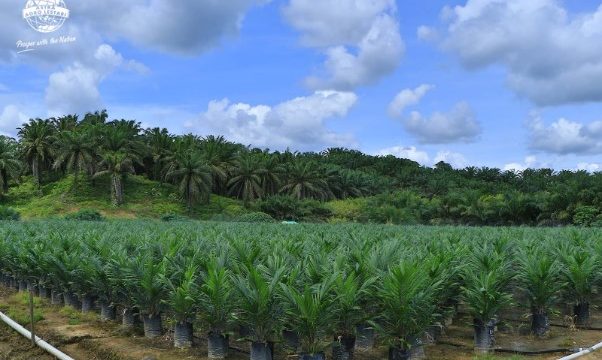 Astra Agro