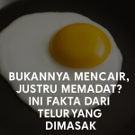 Fakta Dari Telur Yang Dimasak