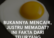 Fakta Dari Telur Yang Dimasak