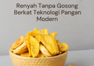 Keripik Buah Vacuum Frying