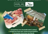 Lolos Sertifikasi Halal