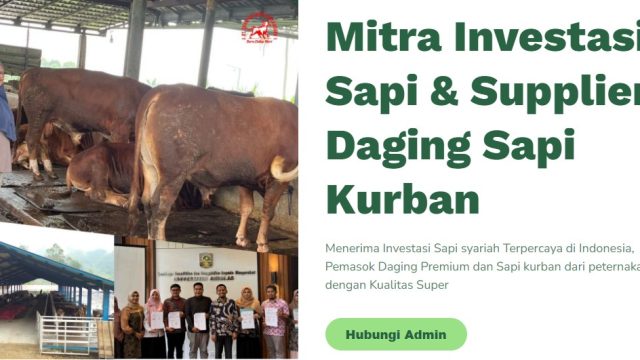 Sapi Lokal