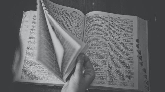 Contoh Kalimat Antonim dalam Bahasa Indonesia