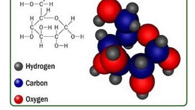 AUksokrom adalah: Penjelasan Lengkap tentang Fungsi dan Manfaatnya