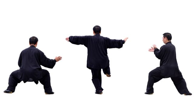 Apa Itu Fighters Artinya dan Maknanya dalam Bahasa Indonesia