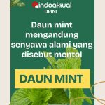 Daun Mint