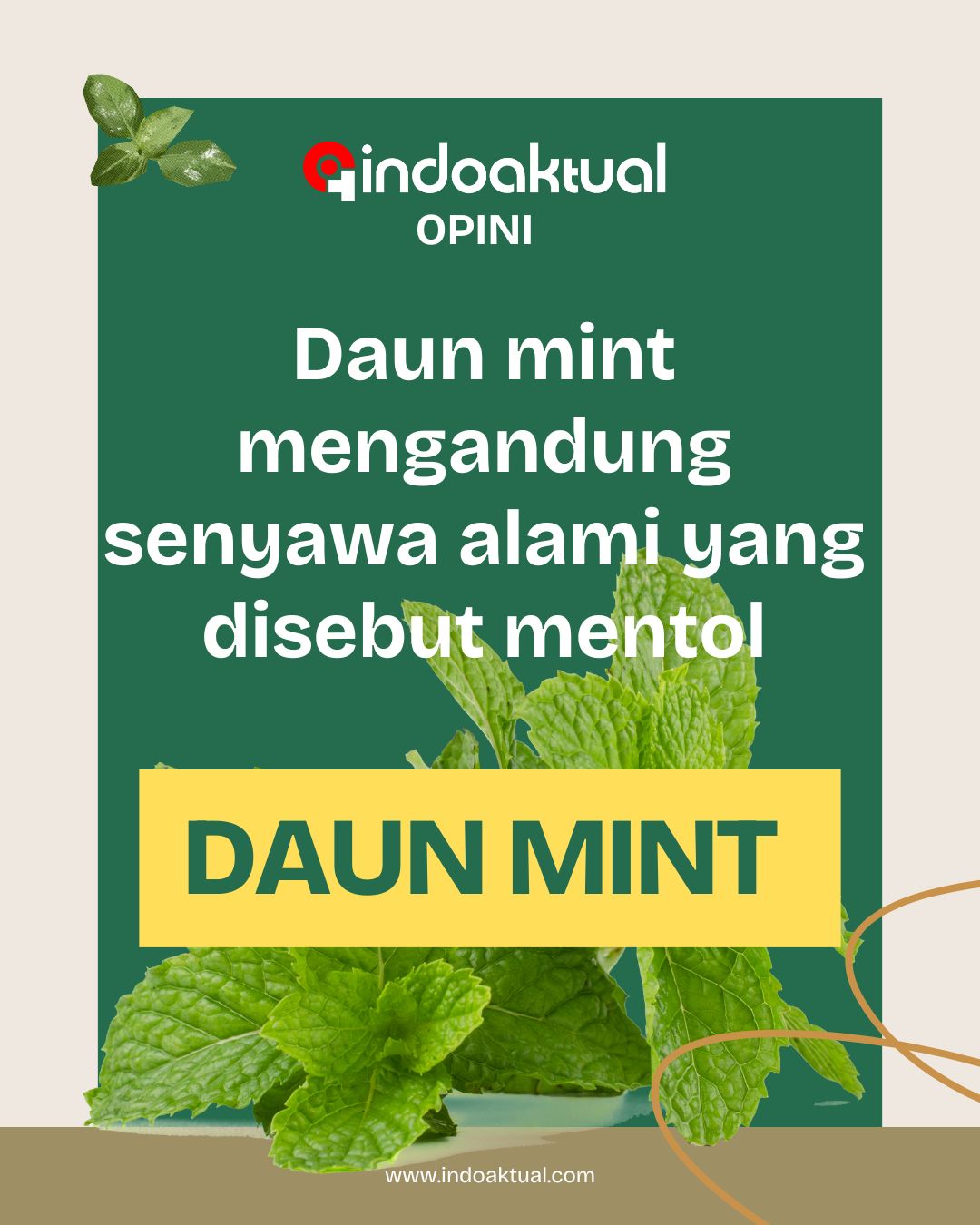 Daun Mint