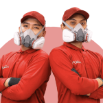 Waspada Serangan Rayap