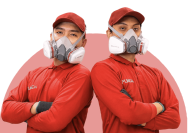 Waspada Serangan Rayap