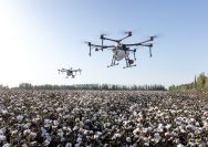 Transformasi Agroindustri