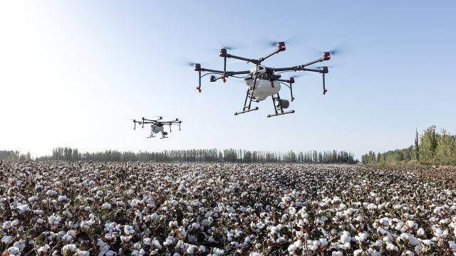 Transformasi Agroindustri