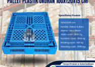 Pallet Plastik