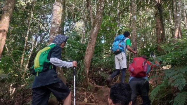 Kawah Ratu Gunung Salak Daya Tarik Wisata Alam yang Menakjubkan