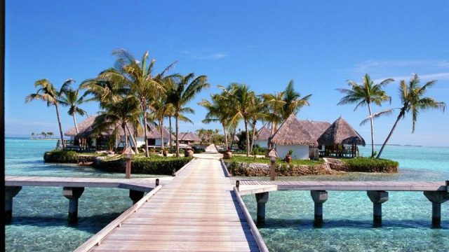 Pace Adalah Kunci Sukses dalam Menjalani Kehidupan yang Lebih Efisien dan Seimbang