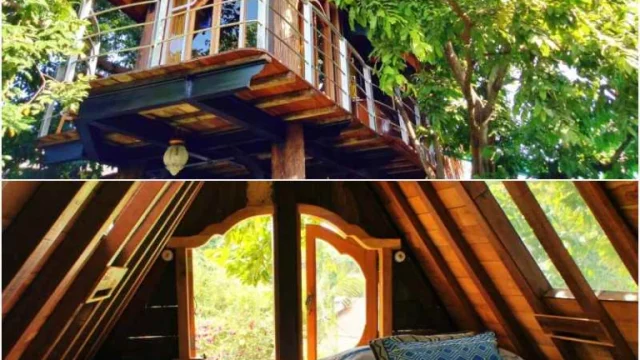 Rumah Petani Bali Pengalaman Unik Menginap di Tengah Alam Hijau