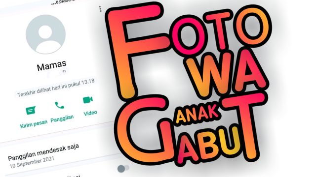 Foto Profil WA Kosong Ini Bisa Jadi Solusi untuk Tampilan Lebih Menarik
