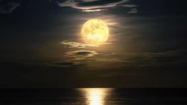 Terang Bulan yang Membawa Ketenangan dan Keindahan Alam Malam