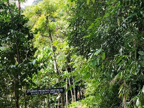 Gunung Betung Jalur Pendakian Terbaik untuk Pecinta Alam