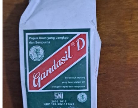 Kandungan Gandasil yang Penting untuk Kesehatan Tubuh