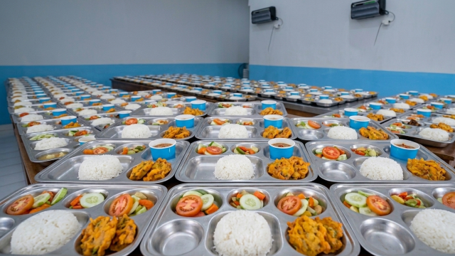 Program Makan Bergizi Gratis di Indonesia